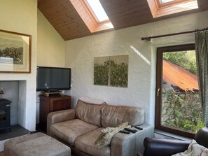 TV connectée, cheminée, lecteur de DVD, livres