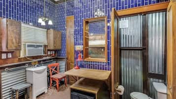 Ducha, secador de pelo y champú