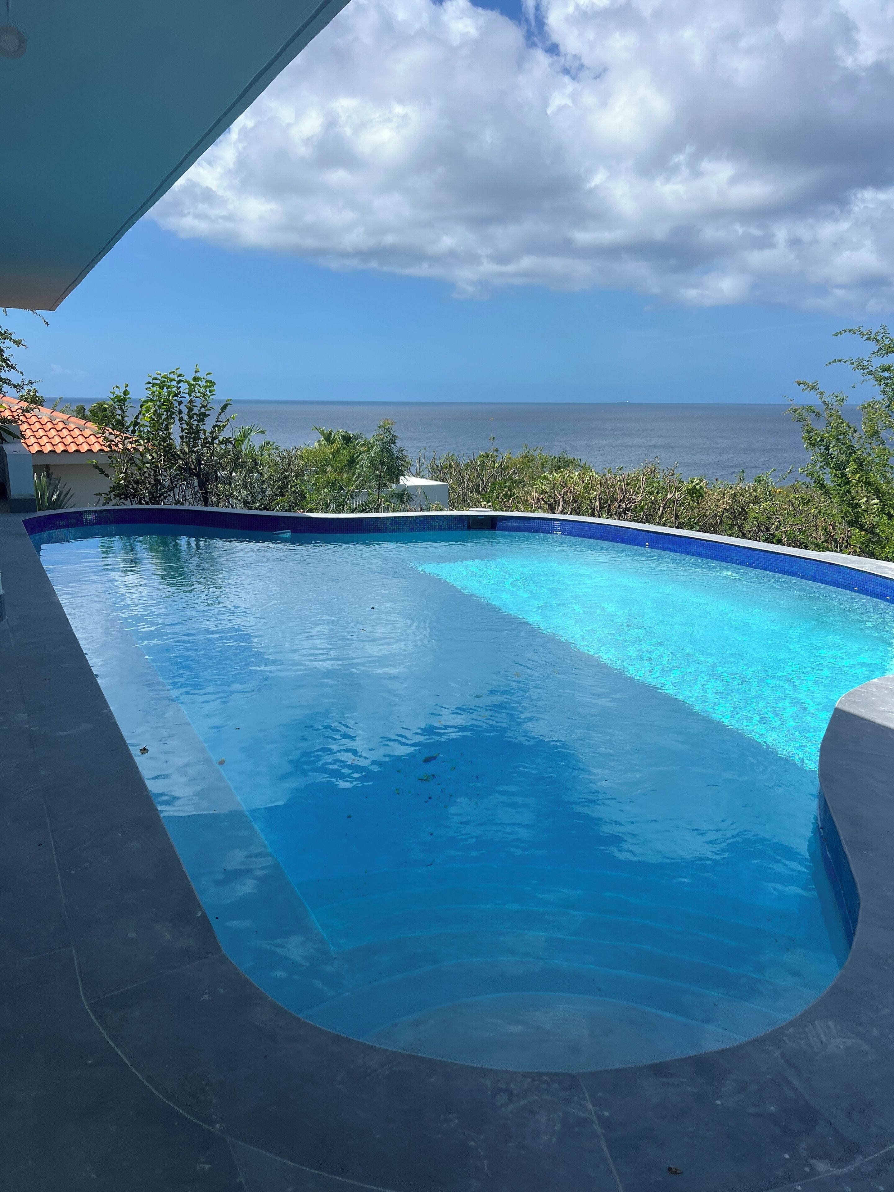 Une piscine à bord incurvé, entourée de verdure et offrant une vue sur l’océan.