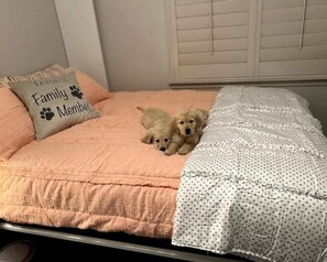 3 dormitorios, wifi, ropa de cama