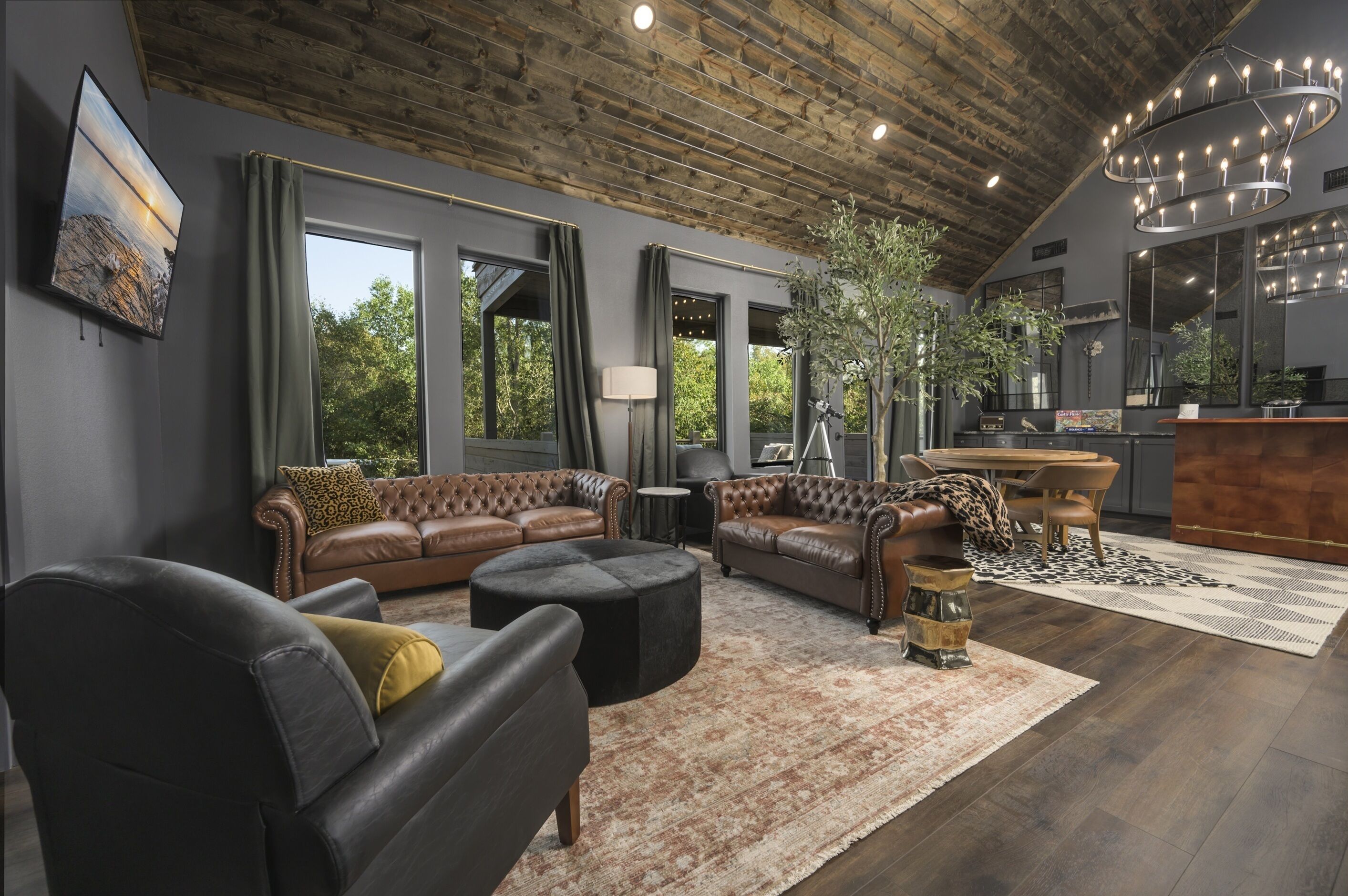 Smart TV, fireplace, video games, books