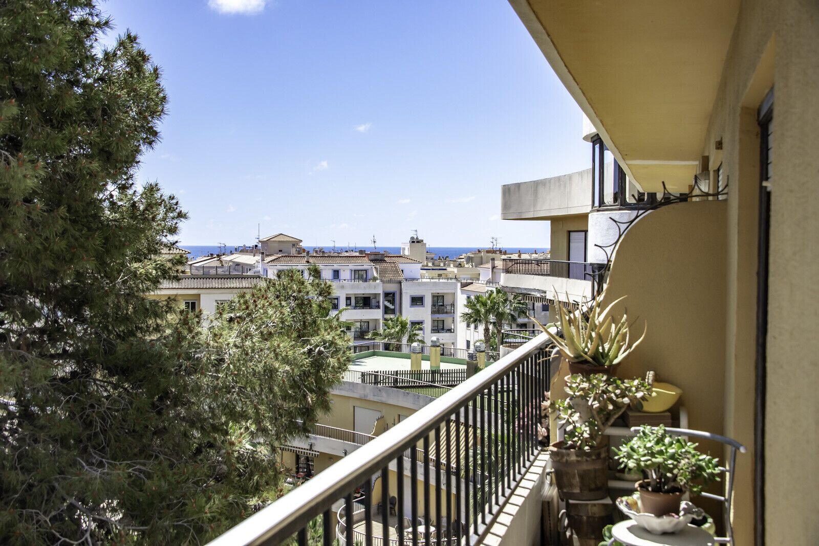 A balcony with potted plants, overlooking a residential area with multiple buildings and a clear view of the sea.