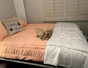 7 chambres, Wi-Fi, draps fournis