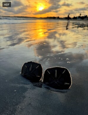 Beach nearby, white sand, free beach shuttle, free beach cabanas