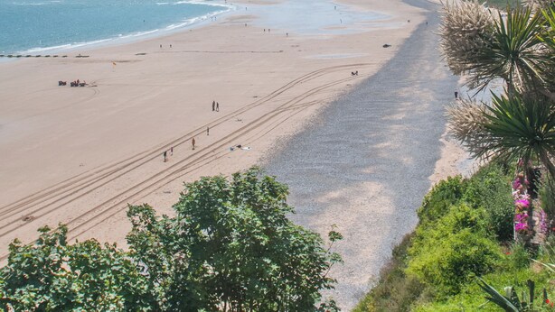Ein Strand mit blauem Himmel, sandigem Ufer und Küstenvegetation.