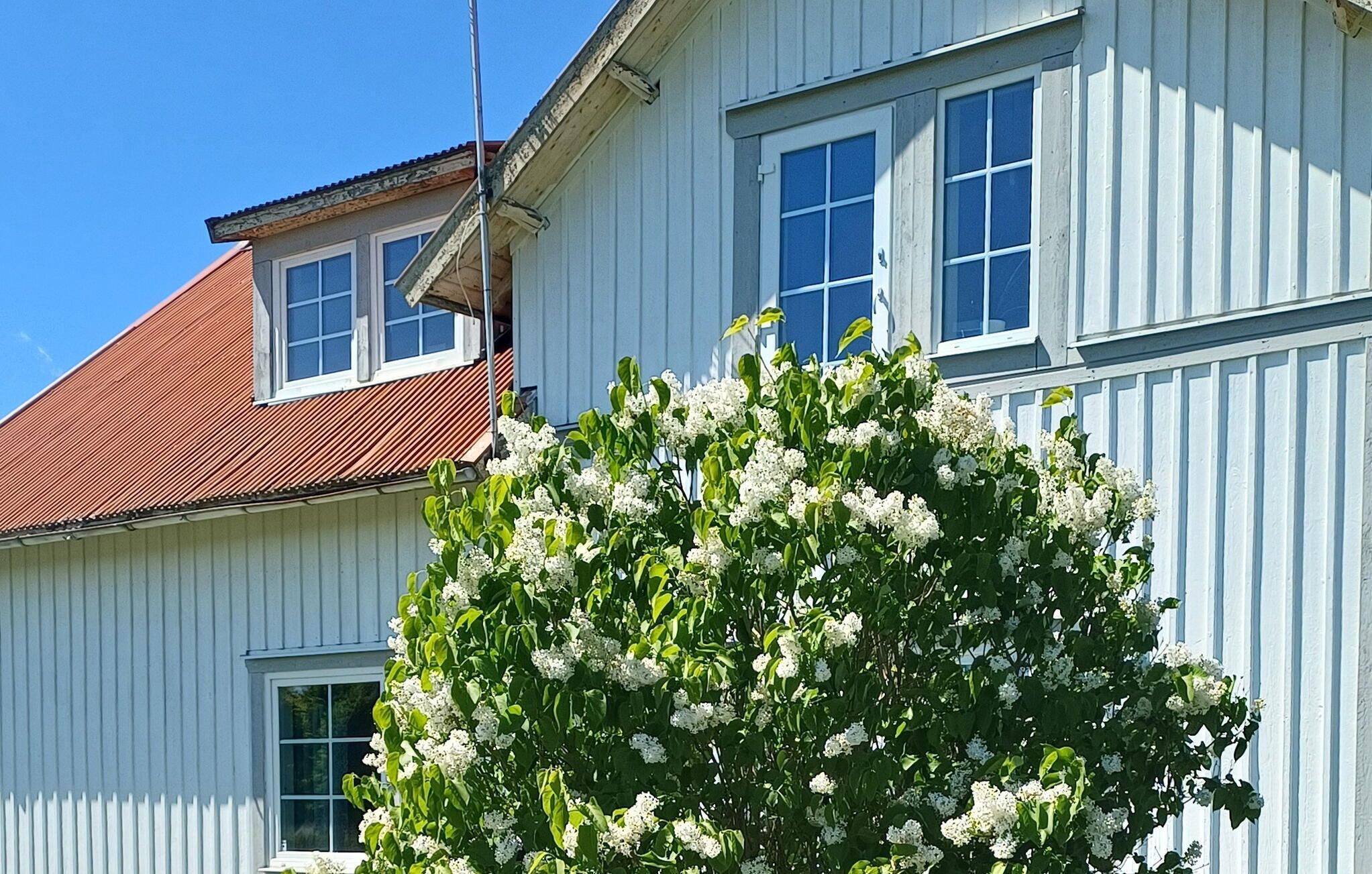 Ulkopuoli