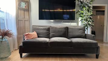 Smart TV, fireplace, computer monitors, printers