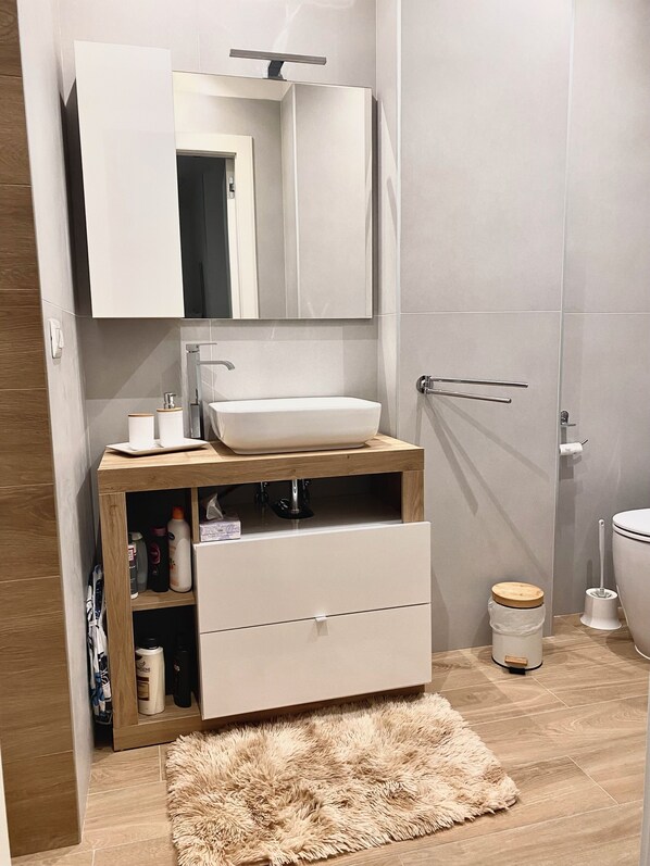 Shower, hair dryer, bidet, towels