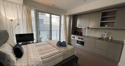 Studio Apartment Located In The Entertainment District of Toronto