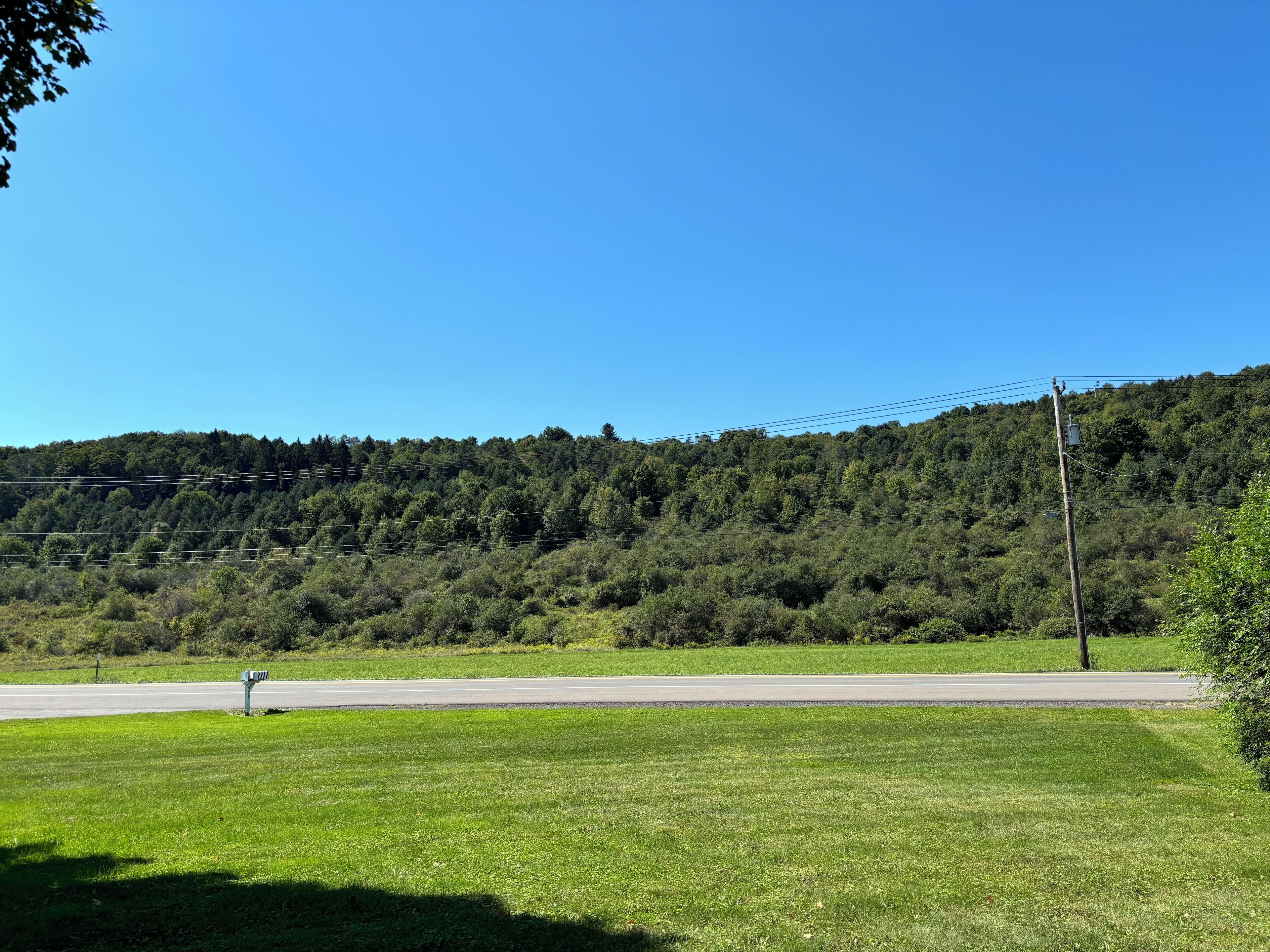 A grassy area with a road and a forested hill in the background.