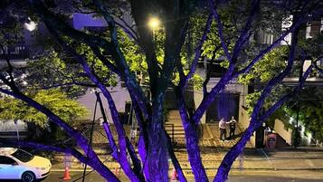 A tree with purple lighting on a city street at night.