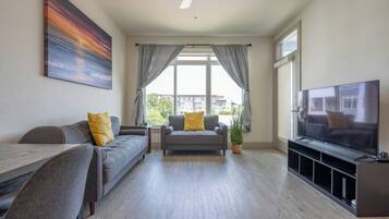 TV connectée, cheminée, livres