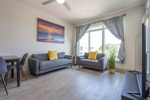 Smart TV, fireplace, books