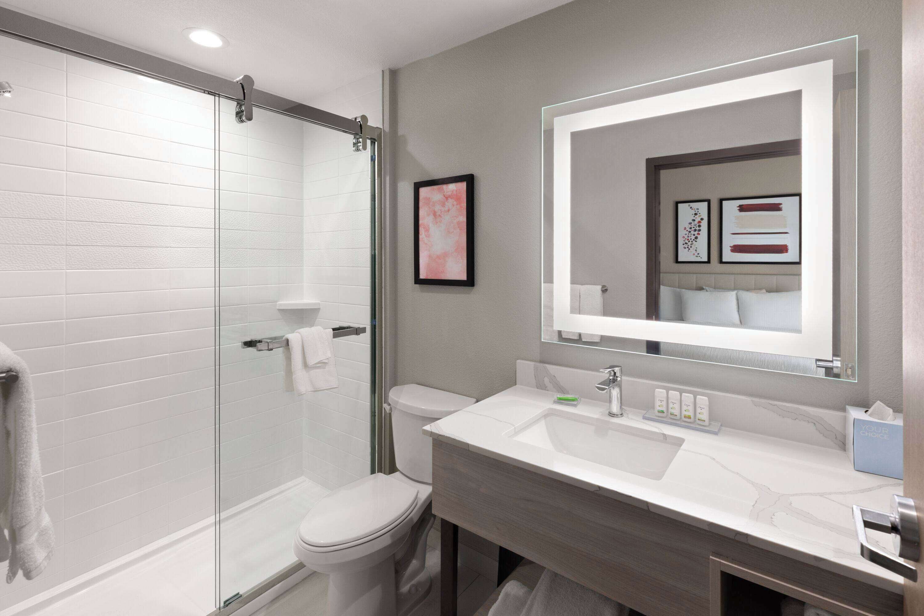 A modern bathroom with a glass shower enclosure, a white toilet, and a vanity with a large mirror.
