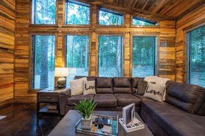 Smart TV, fireplace, DVD player, video library