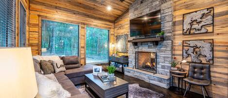 Smart TV, chimenea, reproductor de DVD, videoteca