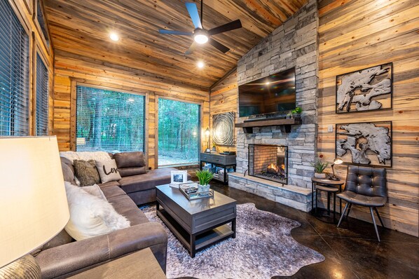 Smart TV, fireplace, DVD player, video library