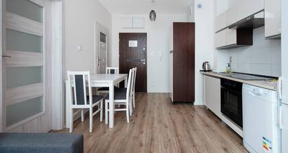 Urban Serenity Space Apartment