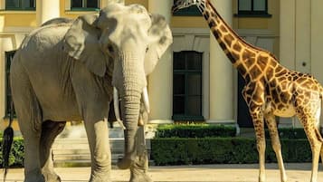 Ein Elefant und eine Giraffe stehen vor einem Gebäude mit Säulen und Fenstern.