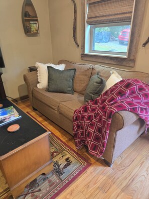 A cozy living room with a brown sofa, a red patterned throw blanket, and a wooden coffee table with books and a decorative item. - Cozy Cabin w/Loft Bedroom * Firepit * Creek Access (Dahlonega)