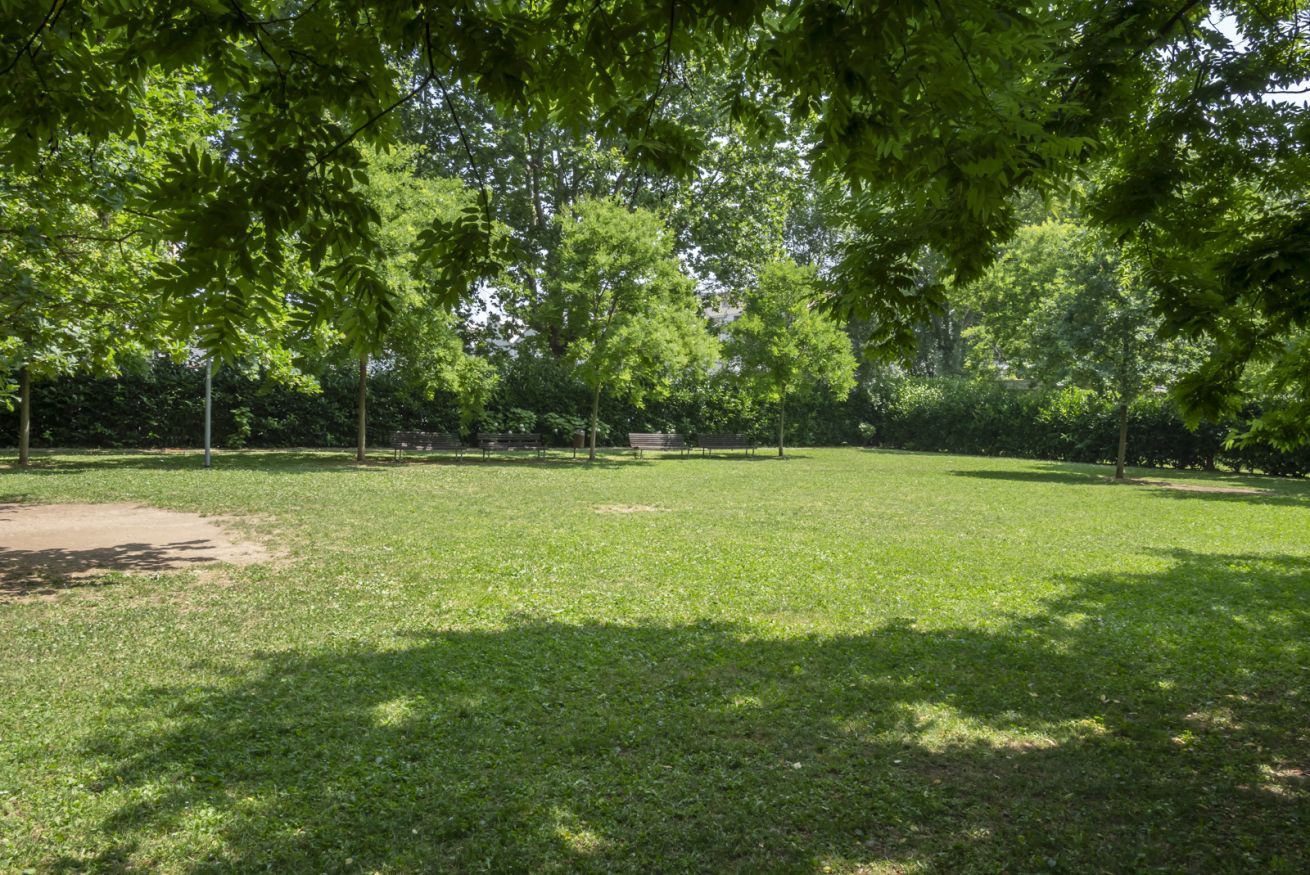 A park with grass, trees, and a bench.