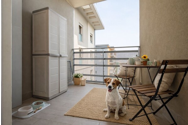 Un balcón con un perro, una mesa con una planta y una silla.