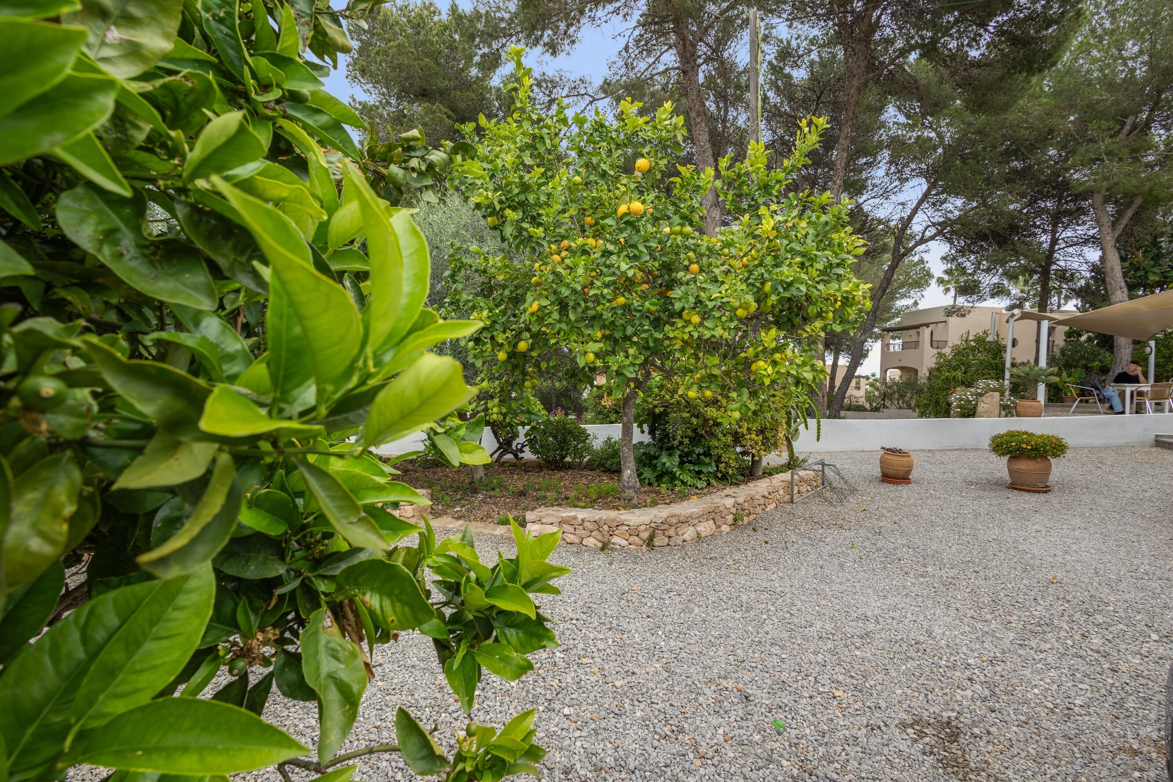 Enceinte de l’hébergement