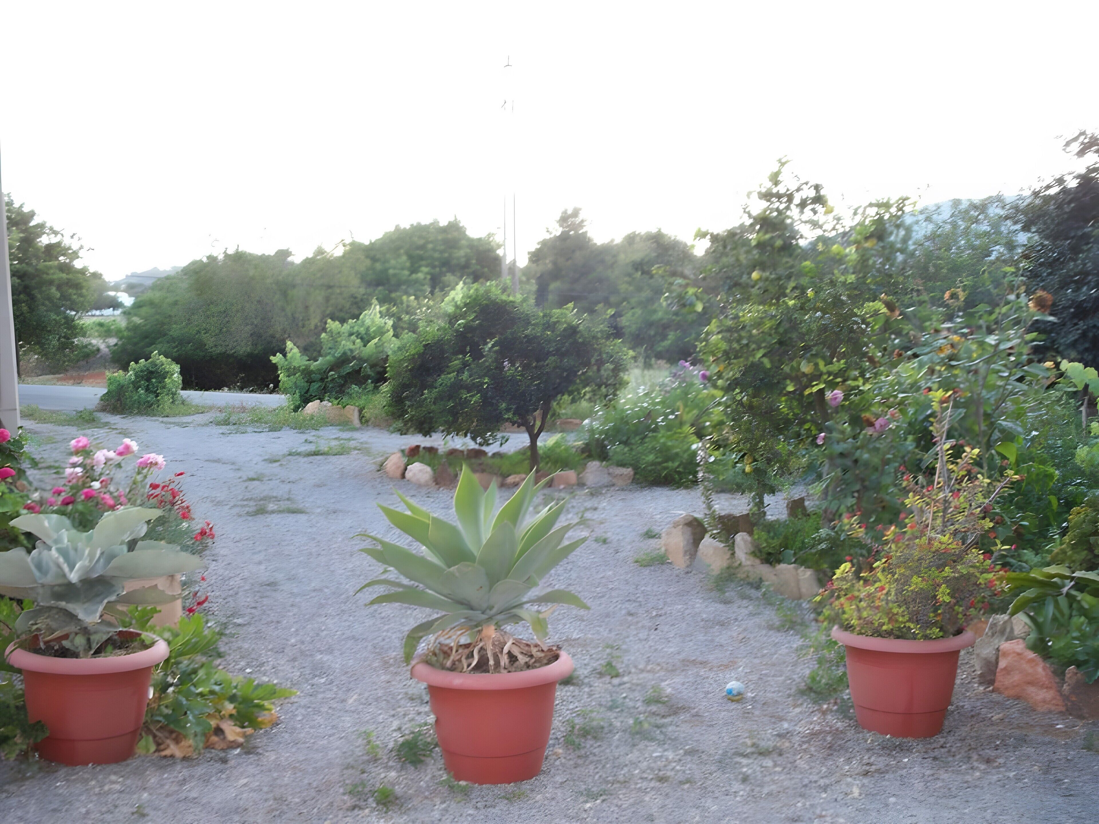 Área da propriedade