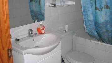 A bathroom with a white sink, a toilet, and a mirror above the sink.