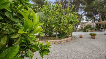 Parco della struttura