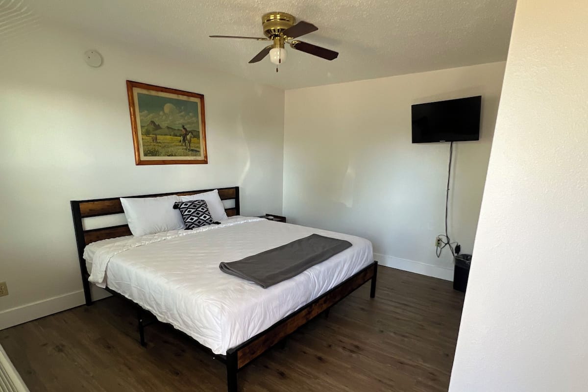 A bedroom with a bed, a ceiling fan, a painting, a TV, and a heater.