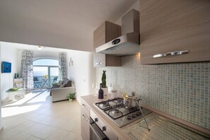 Fridge, stovetop, cookware/dishes/utensils