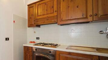 Fridge, stovetop, highchair, cookware/dishes/utensils