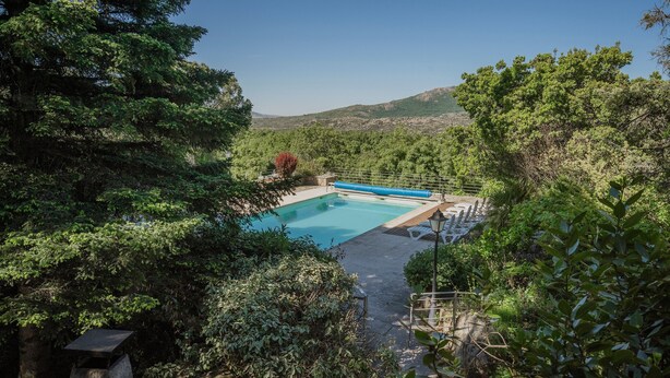 Una piscina rodeada de exuberante vegetación y colinas al fondo.