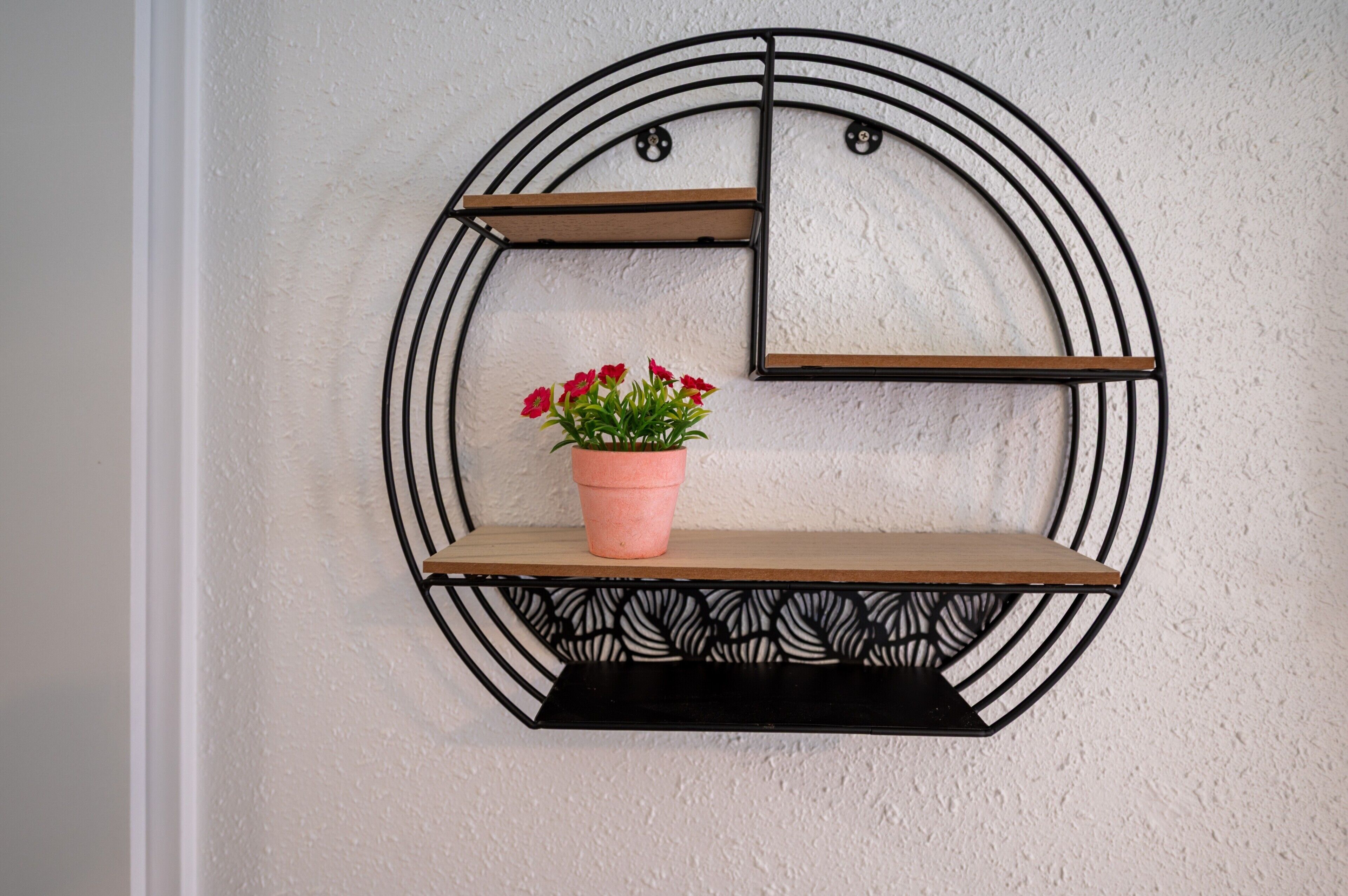 Une étagère fixée au mur, sur laquelle est posée une plante en pot.