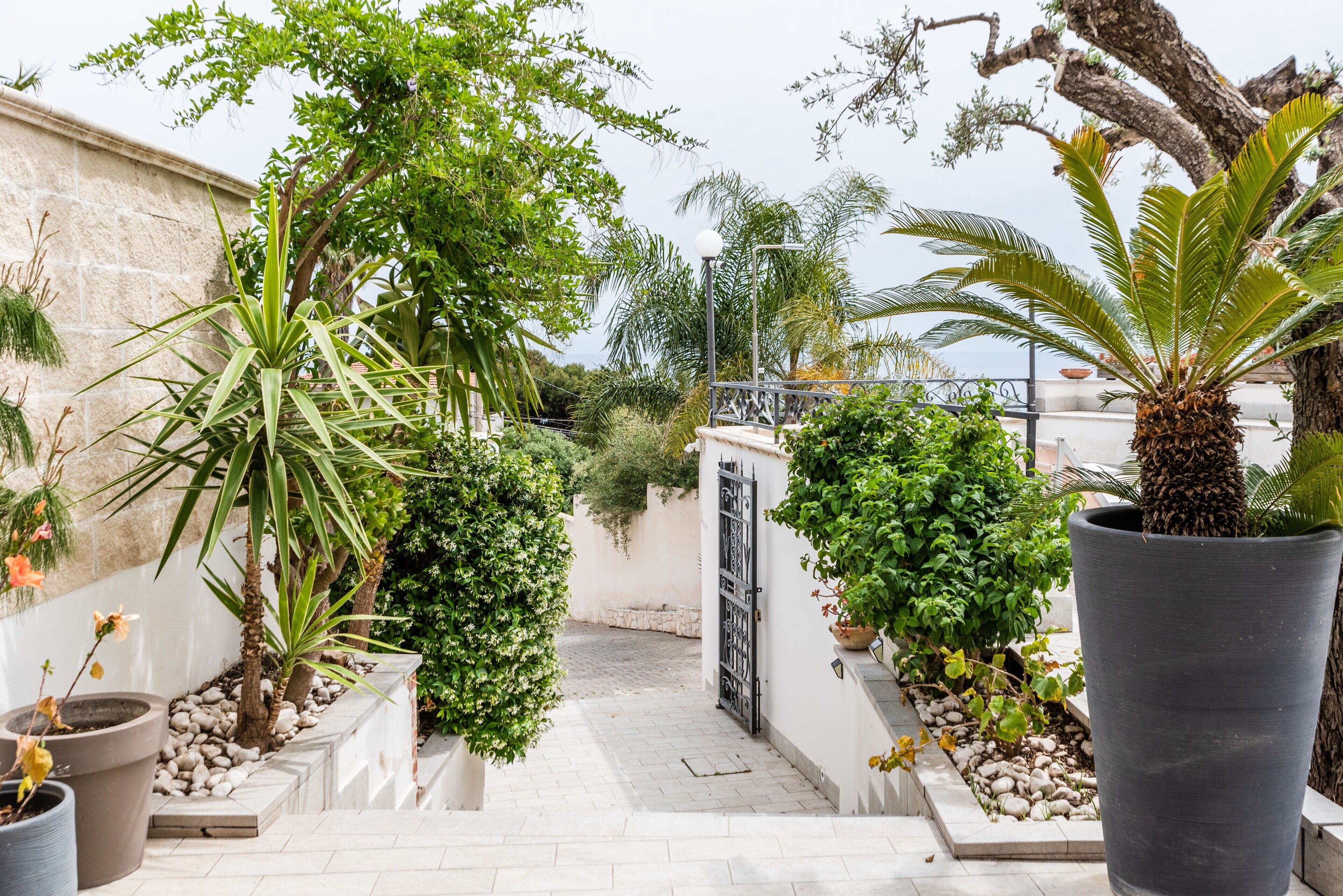 Área da propriedade