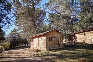 Una cabaña rústica de madera con un sendero de tierra que la lleva a ella, rodeada de árboles.