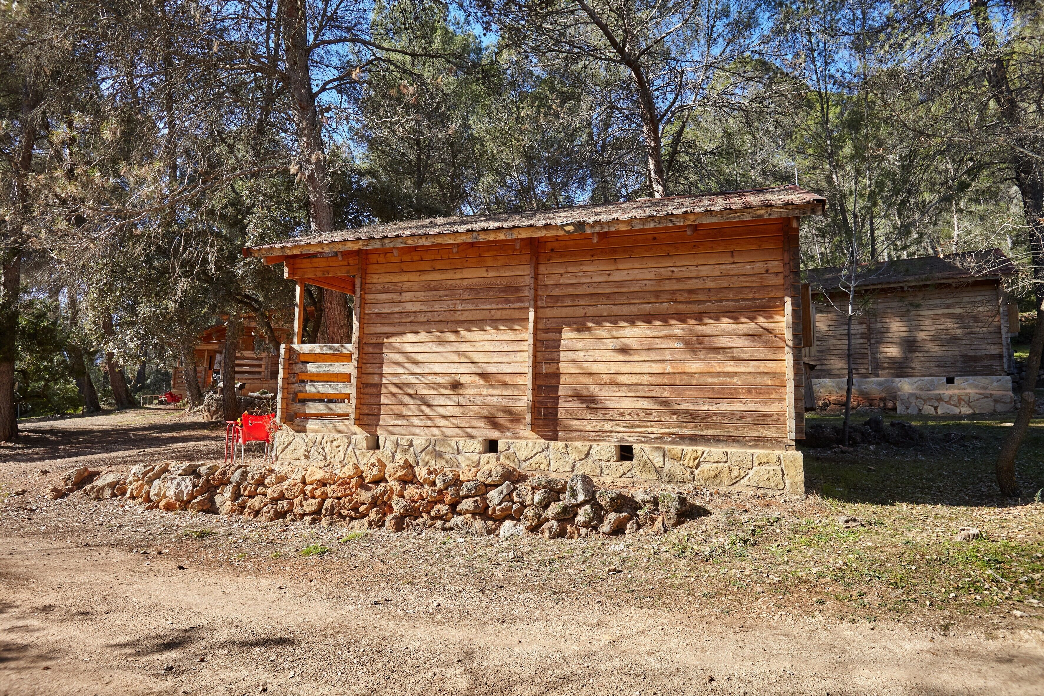 A rustic wooden cabin with a stone foundation, surrounded by trees.