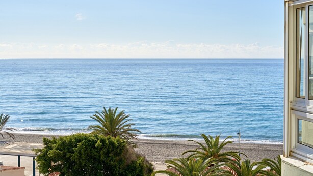 Une vue sur la côte, avec une plage, des palmiers et un bâtiment doté de grandes fenêtres.