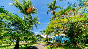 A pathway leading to a blue building surrounded by lush greenery and palm trees. - The Treehouse (Hakalau)
