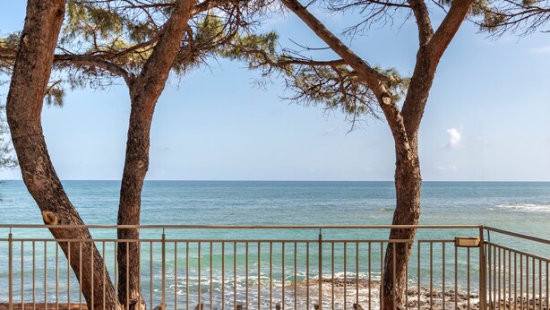 A beach view with a metal railing, trees, and the ocean. - Apartment 'Le Terrazze Sul Mare - Capo' with Sea View, Private Terrace and Wi-Fi (Cefalù)