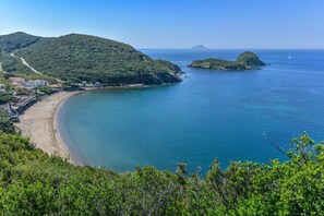 海滩