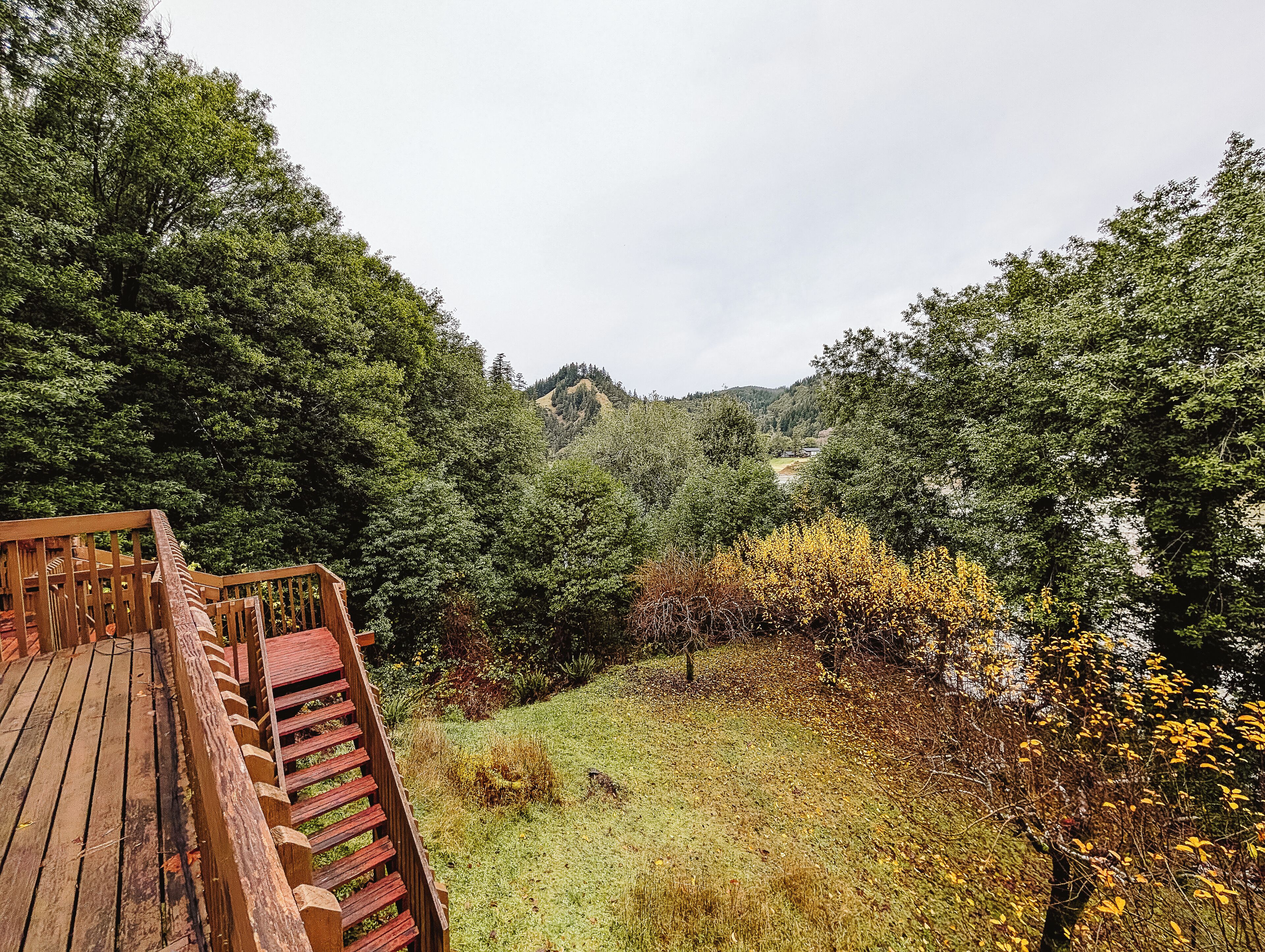 Un pontile in legno affacciato su un paesaggio verde e rigoglioso, con alberi fitti e una collina in lontananza.