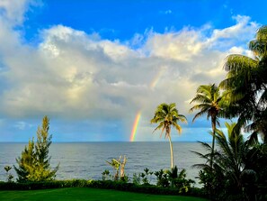 A view of the ocean with palm trees and a rainbow.