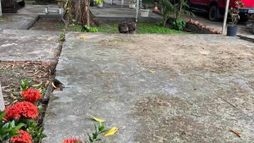 Suite, non-fumeurs | Terrasse/Patio