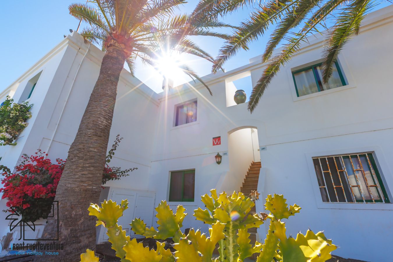 A white building with a spiral staircase, a palm tree, and a clear sky.