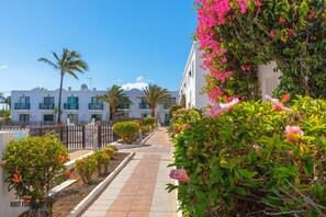 A pathway lined with greenery and a row of white buildings with balconies.