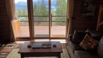 TV, fireplace, books, music library