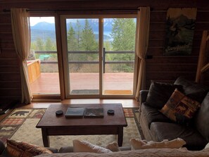 TV, fireplace, books, music library