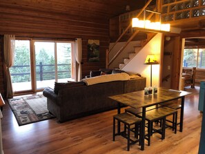 TV, fireplace, books, music library